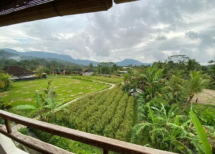 Cozy Bliss 3*